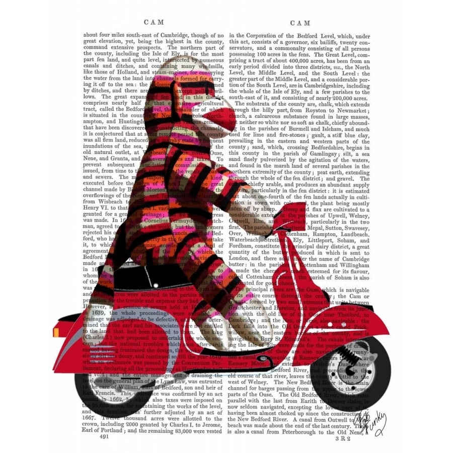 Sock Monkey on Moped Poster Print - Funky Fab-VARPDX190477D Image 1