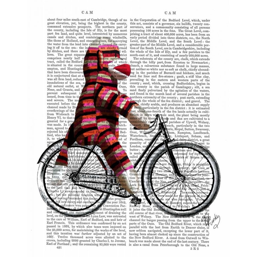 Sock Monkey on Bicycle Poster Print - Funky Fab-VARPDX190478D Image 1