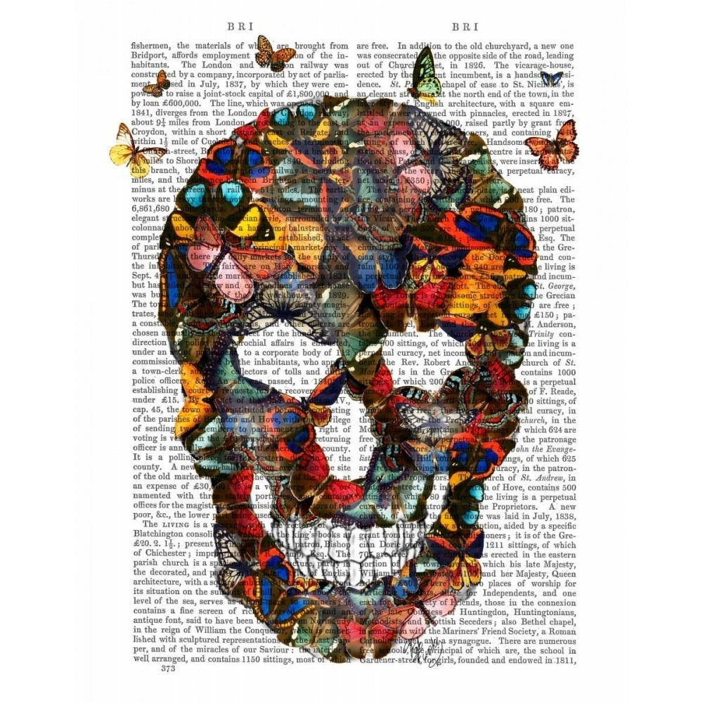 Butterfly Skull Poster Print - Funky Fab-VARPDX190470D Image 1