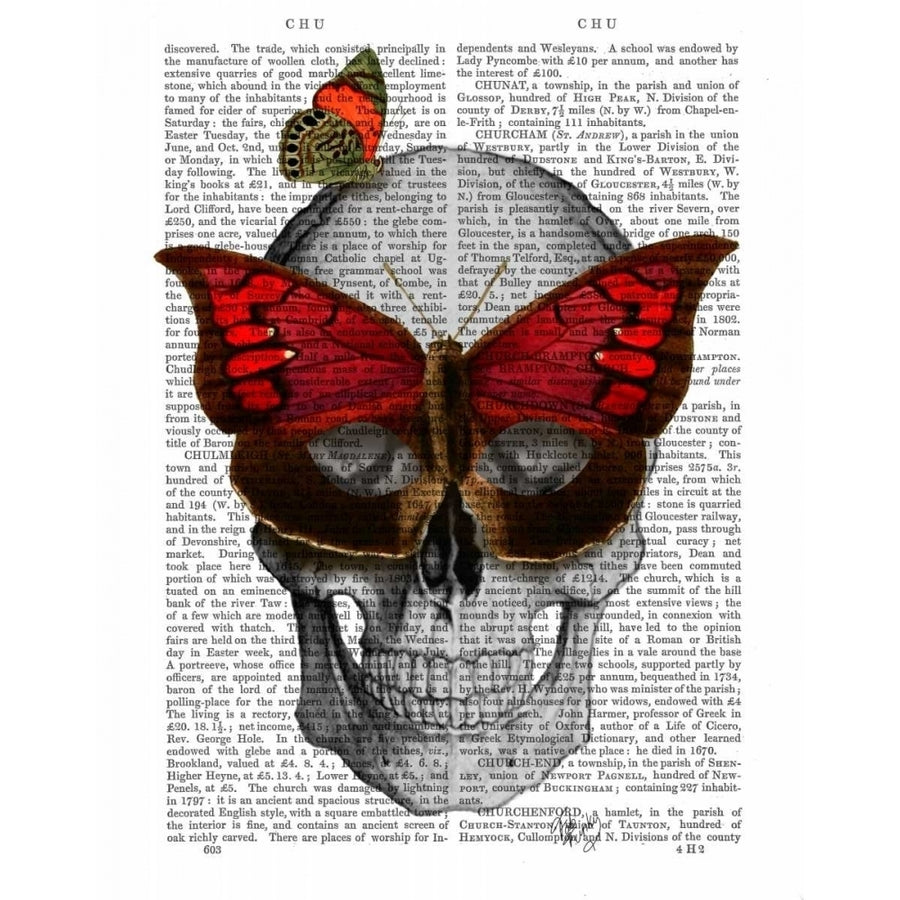 Pink Butterfly Mask Skull Poster Print - Funky Fab-VARPDX190465D Image 1