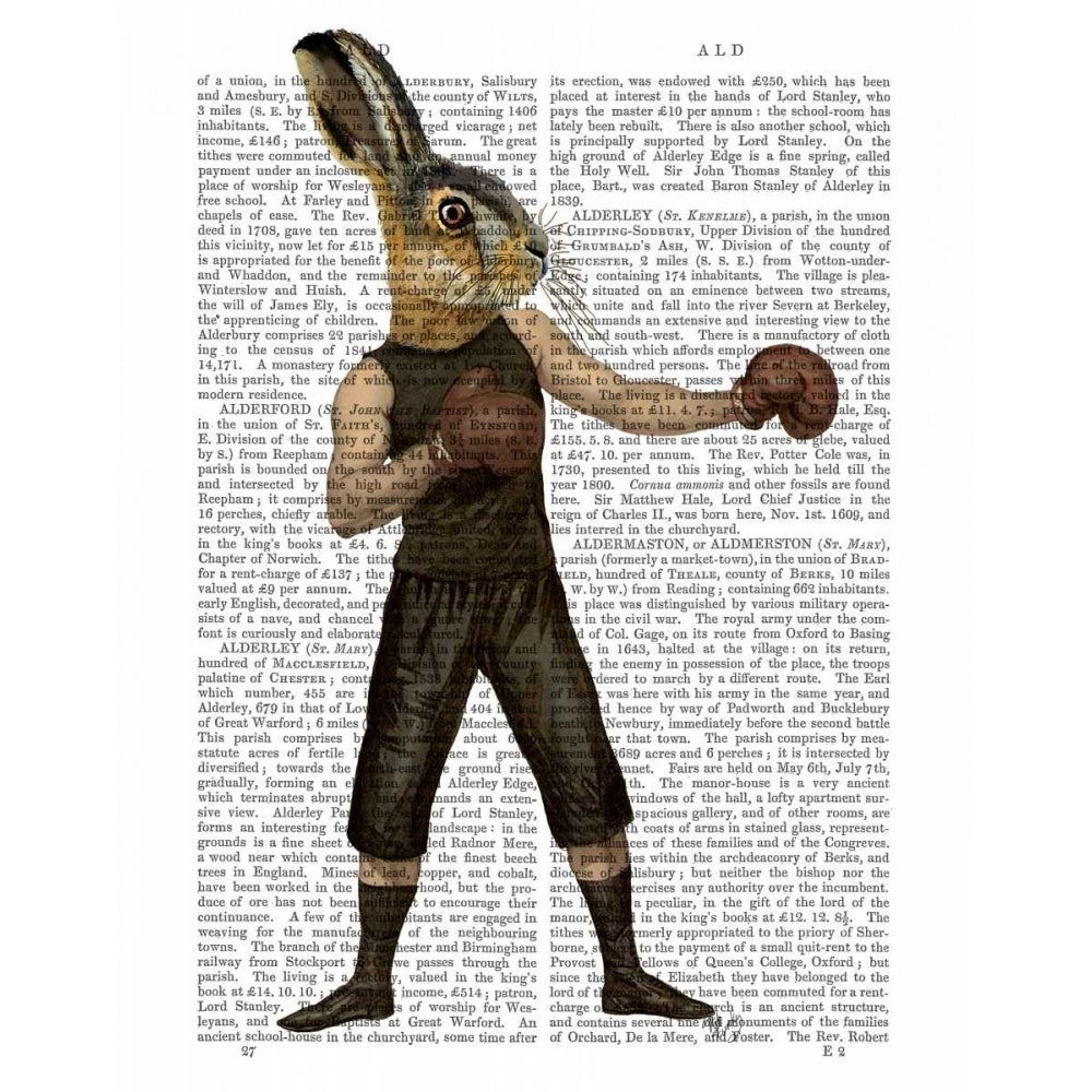 Boxing Hare Poster Print - Funky Fab-VARPDX190494D Image 1