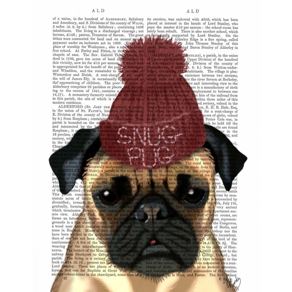 Snug Pug Poster Print - Funky Fab-VARPDX190498D Image 1