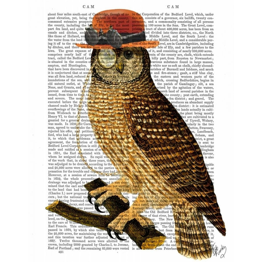 Owl with Steampunk Style Bowler Hat Poster Print - Funky Fab-VARPDX190511D Image 1