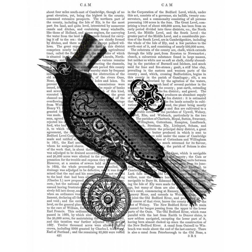 Steampunk Crow Poster Print - Funky Fab-VARPDX190523D Image 1