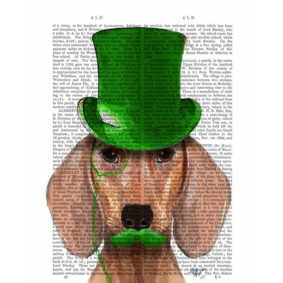 Dachshund With Green Top Hat and Moustache Poster Print - Funky Fab-VARPDX190538D Image 1