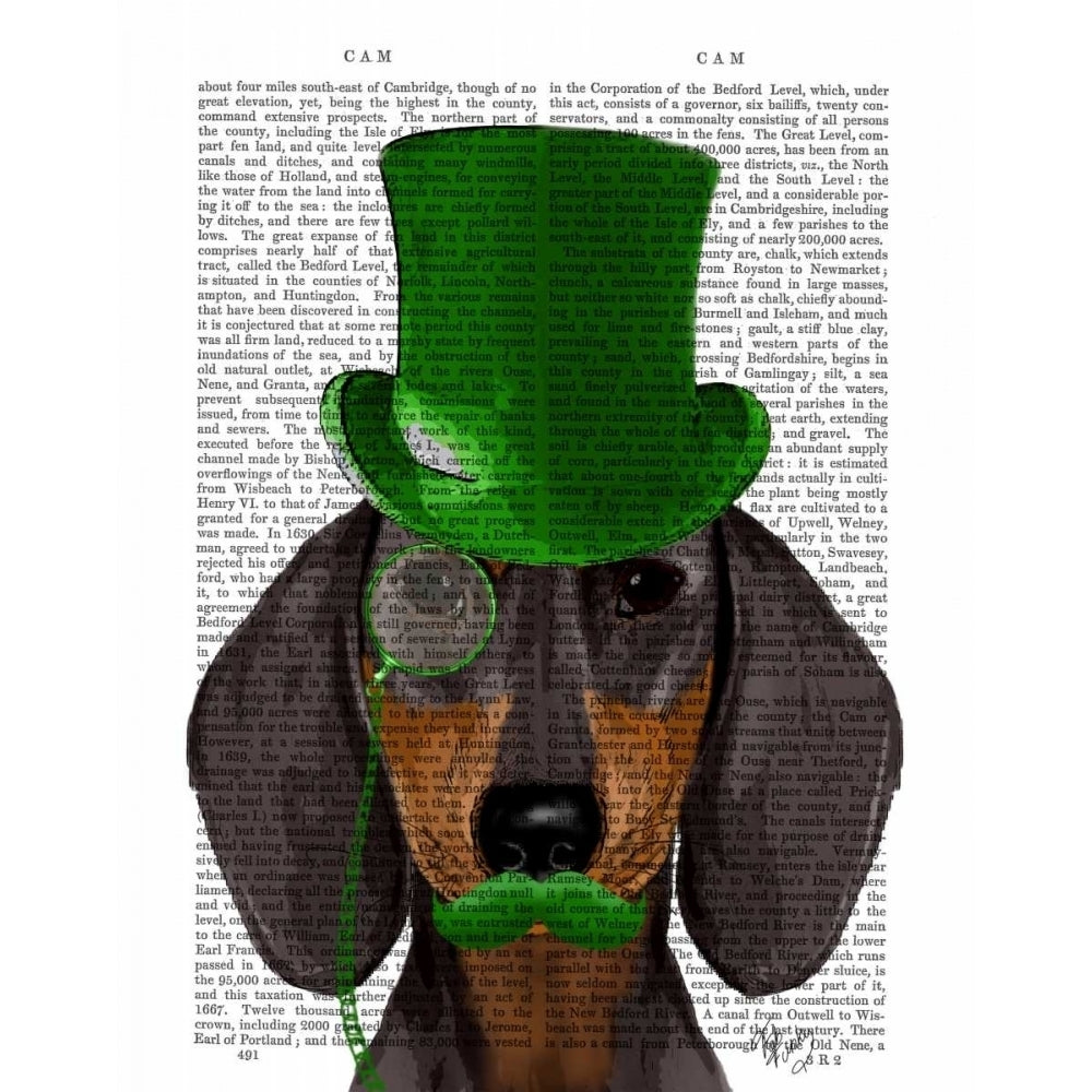 Dachshund with Green Top Hat Black Tan Poster Print - Funky Fab-VARPDX190550D Image 1