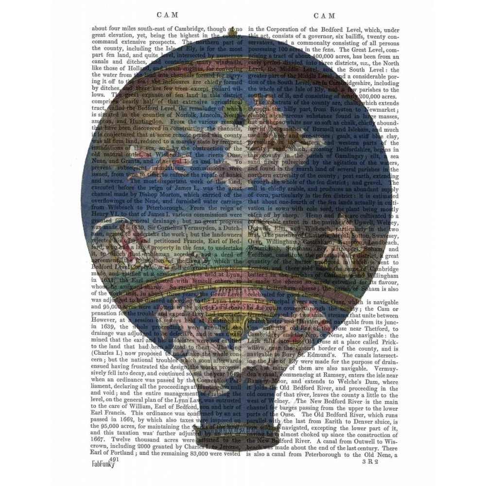 Machine Aerostatique Hot Air Balloon Poster Print - Funky Fab-VARPDX190592D Image 1