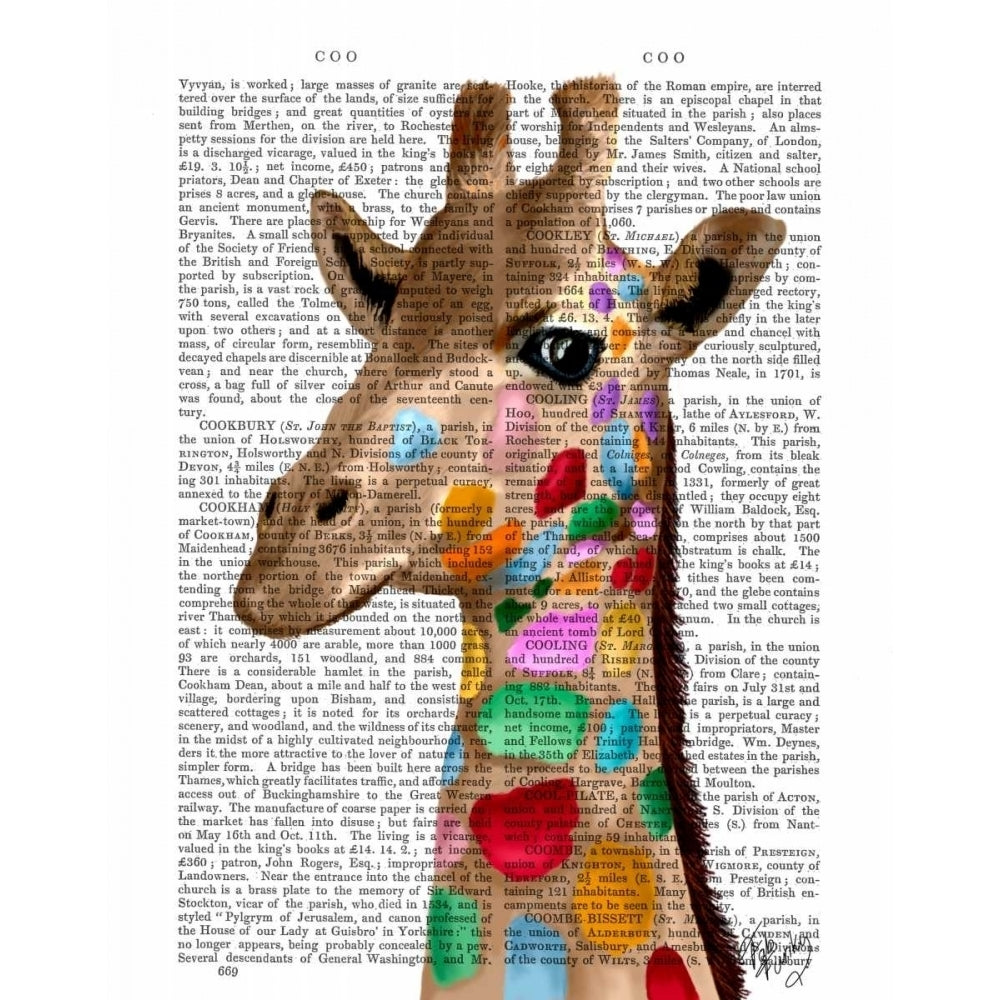 Multicoloured Giraffe Poster Print - Funky Fab-VARPDX190599D Image 1