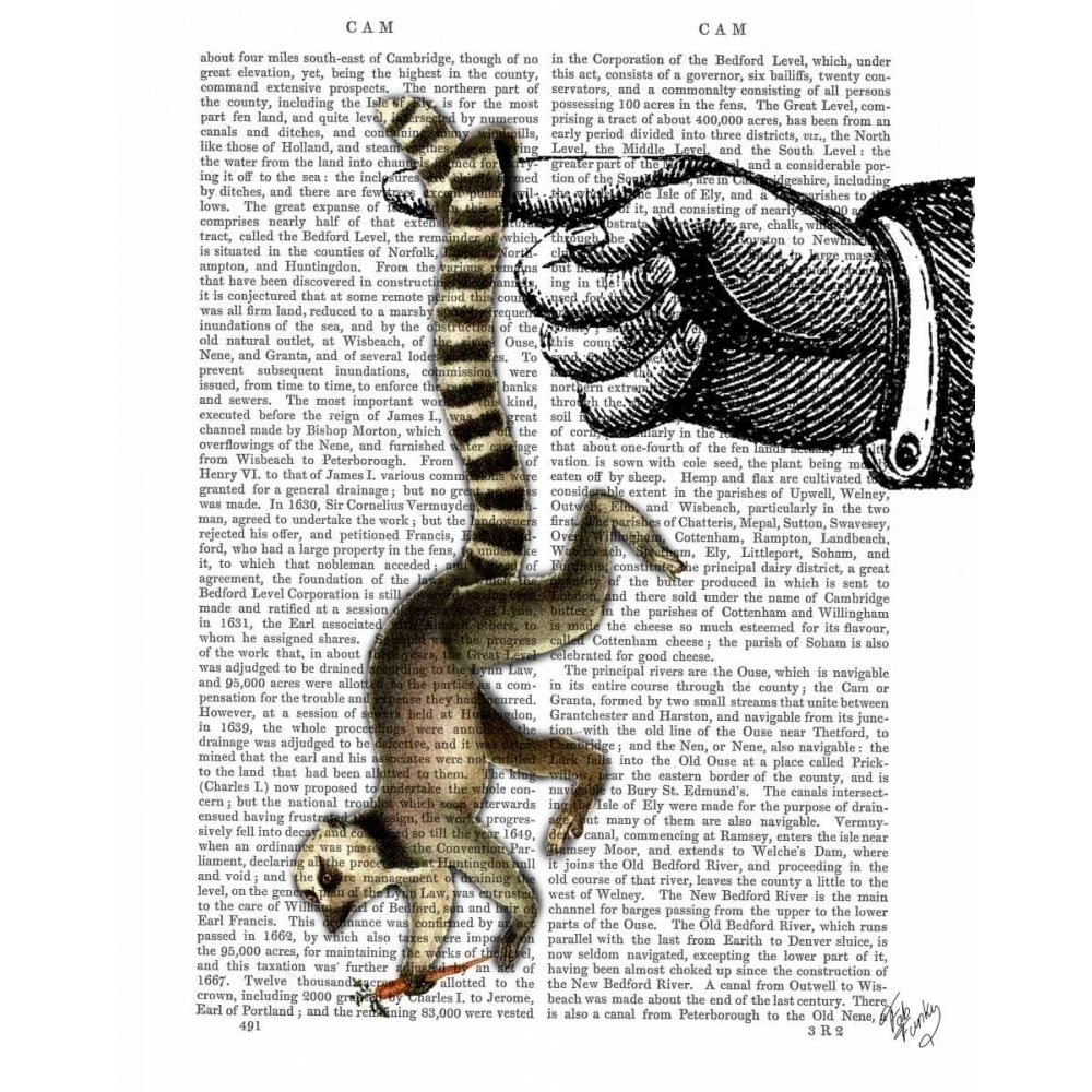 Ring Tailed Lemur on Finger Poster Print - Funky Fab-VARPDX190595D Image 1