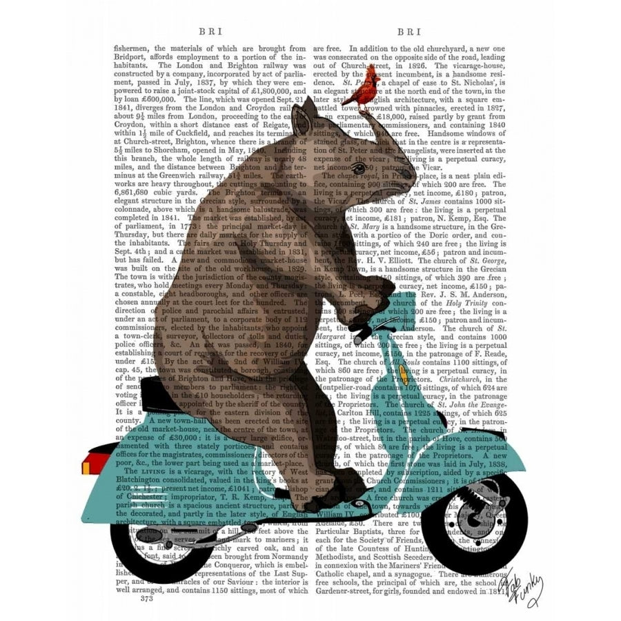 Rhino on Moped Poster Print - Funky Fab-VARPDX190601D Image 1