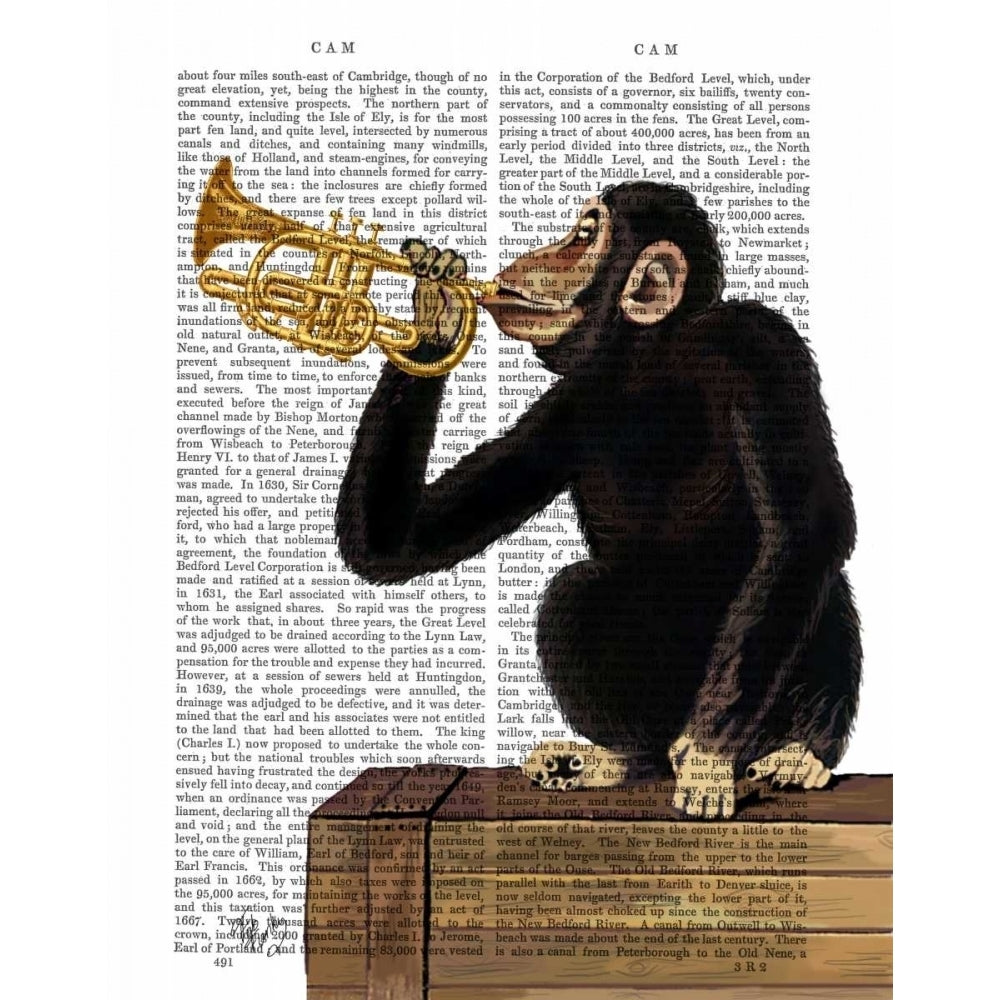 Monkey Playing Trumpet Poster Print - Funky Fab-VARPDX190594D Image 1