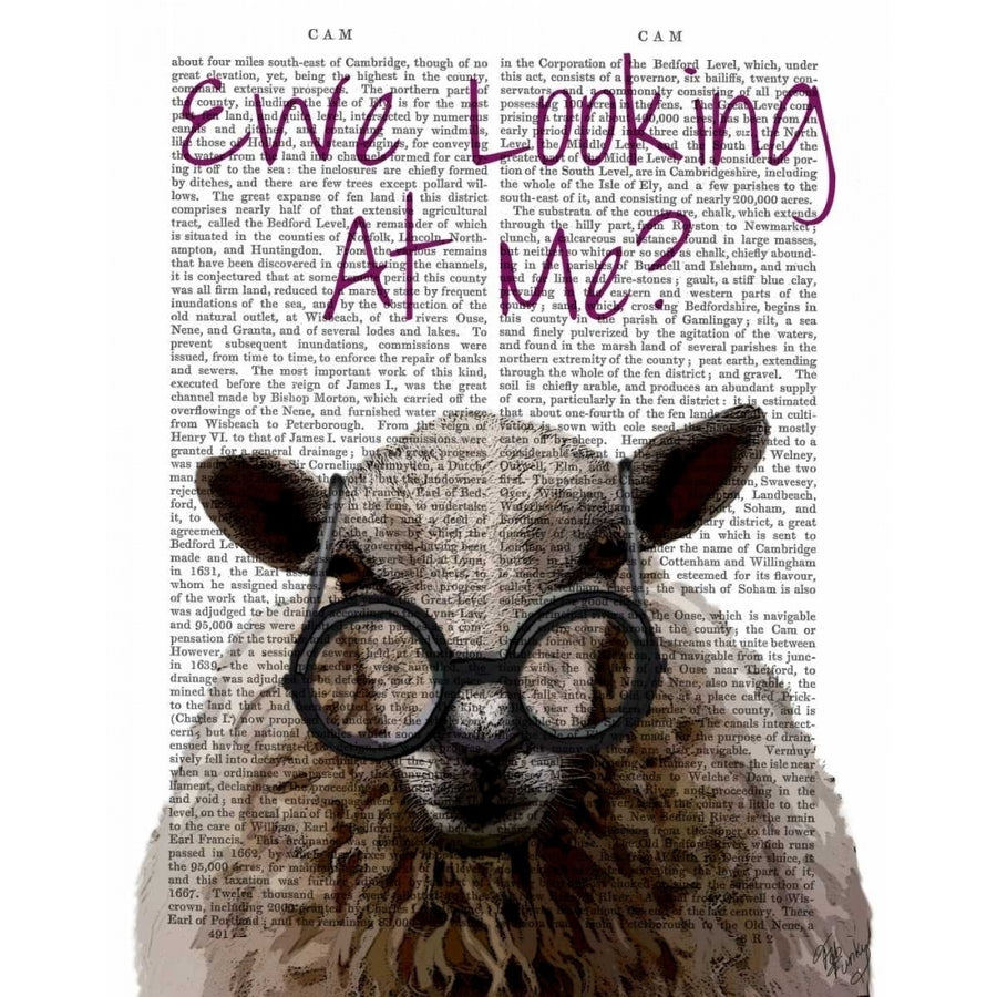 Ewe Looking at Me DeNiro Sheep Poster Print - Funky Fab-VARPDX190625D Image 1