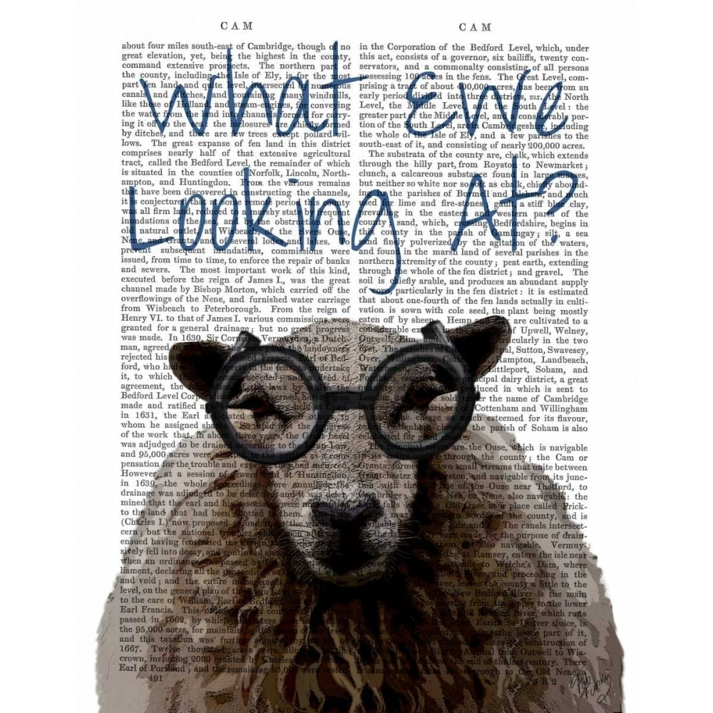 What Ewe Looking At Poster Print - Funky Fab-VARPDX190626D Image 1