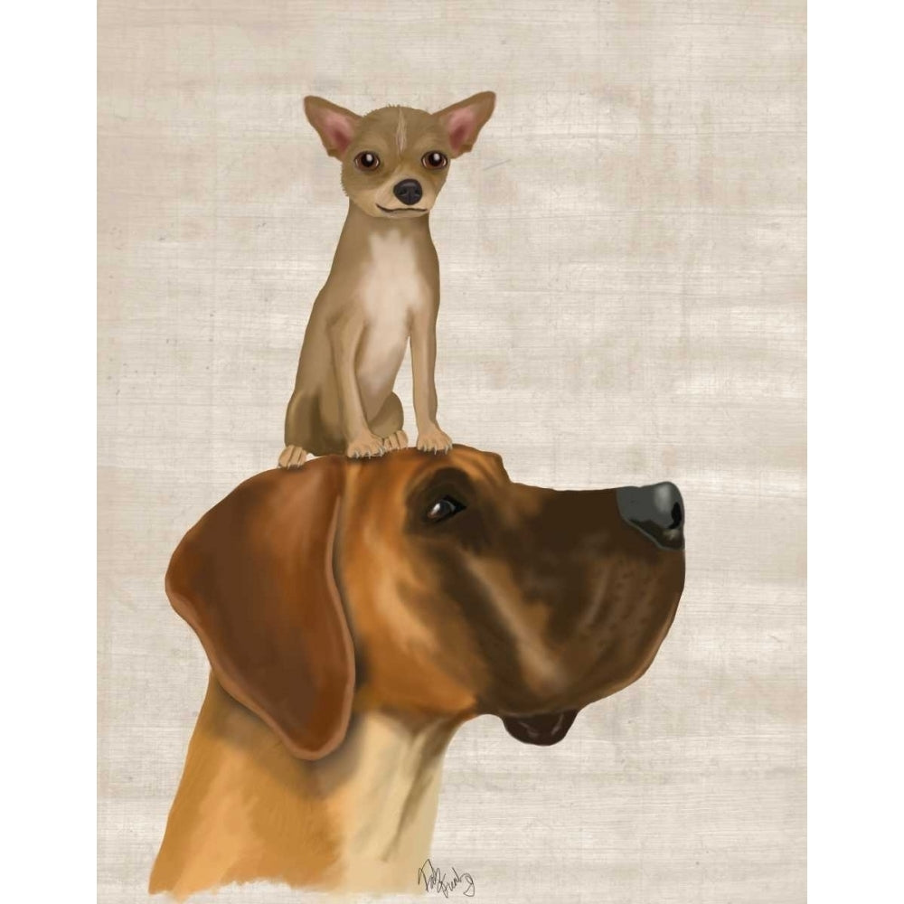 Great Dane and Chihuahua Poster Print - Funky Fab-VARPDX190692D Image 1