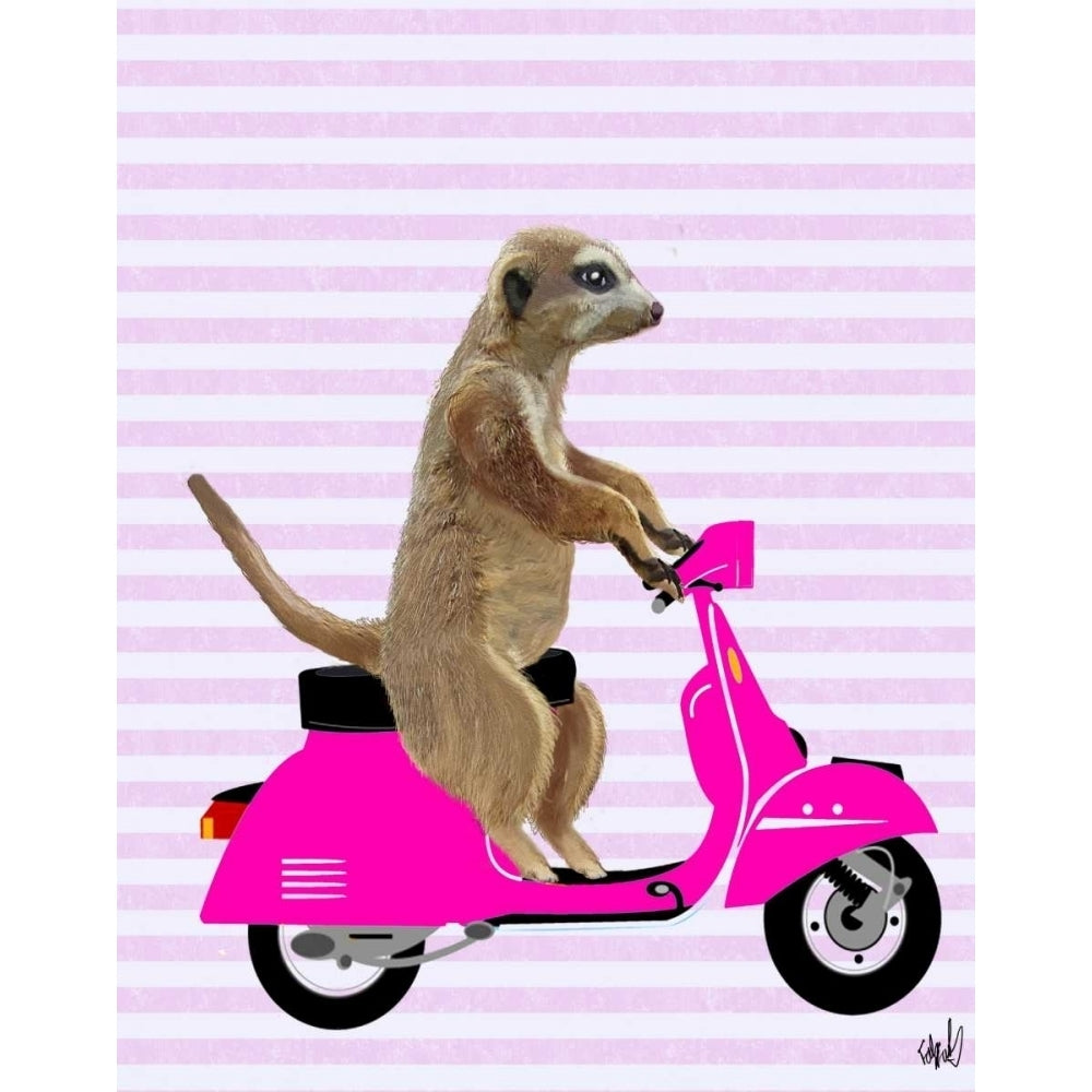 Meerkat on Pink Moped Poster Print - Funky Fab-VARPDX190770D Image 1