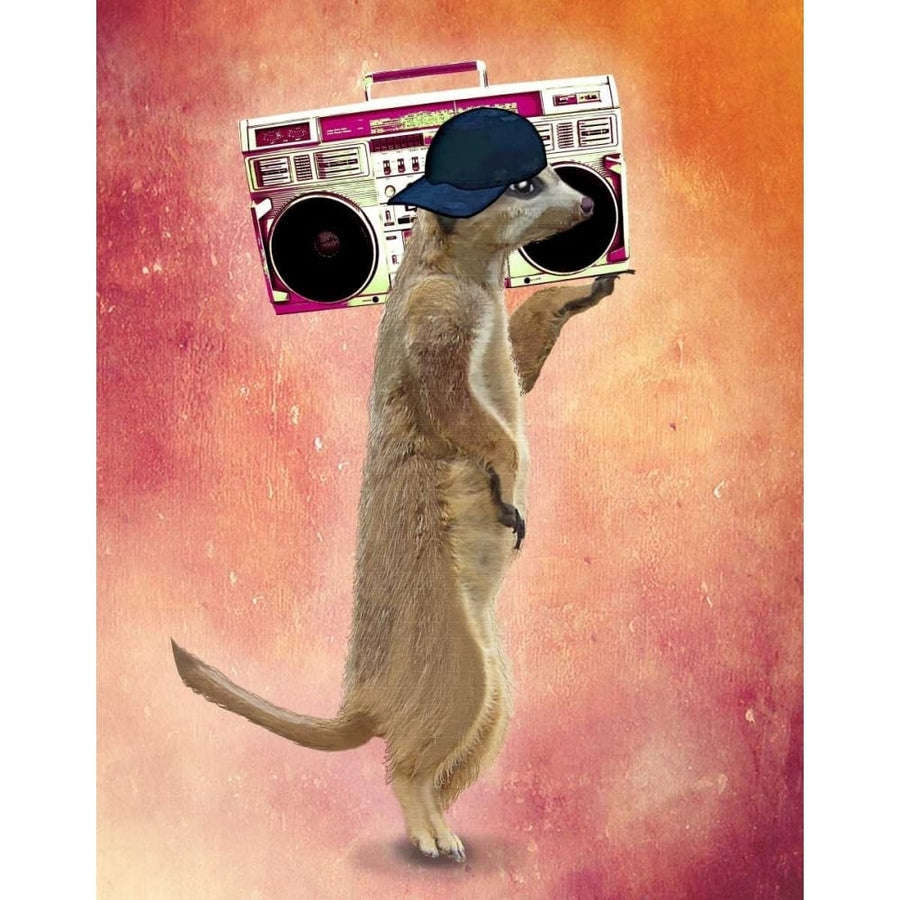 Meerkat and Boom Box Poster Print - Funky Fab-VARPDX190815D Image 1