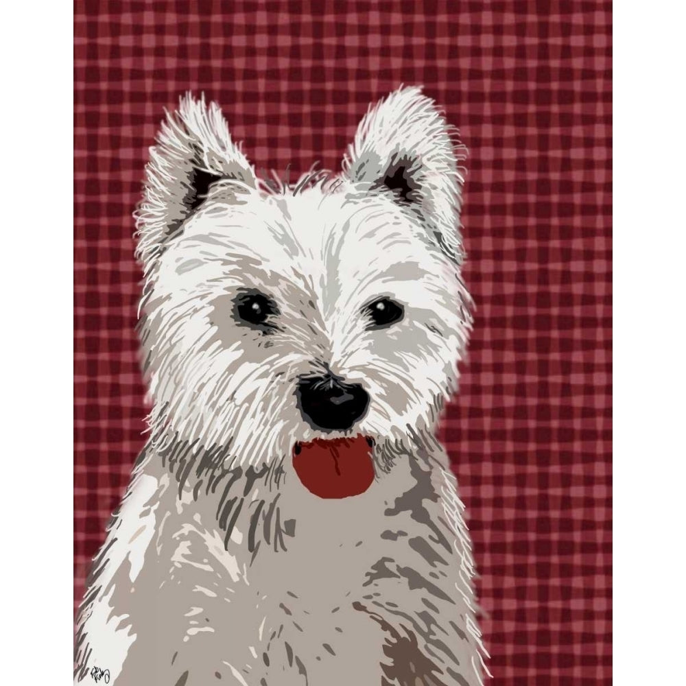 West Highland Terrier Plain Poster Print - Funky Fab-VARPDX190926D Image 1