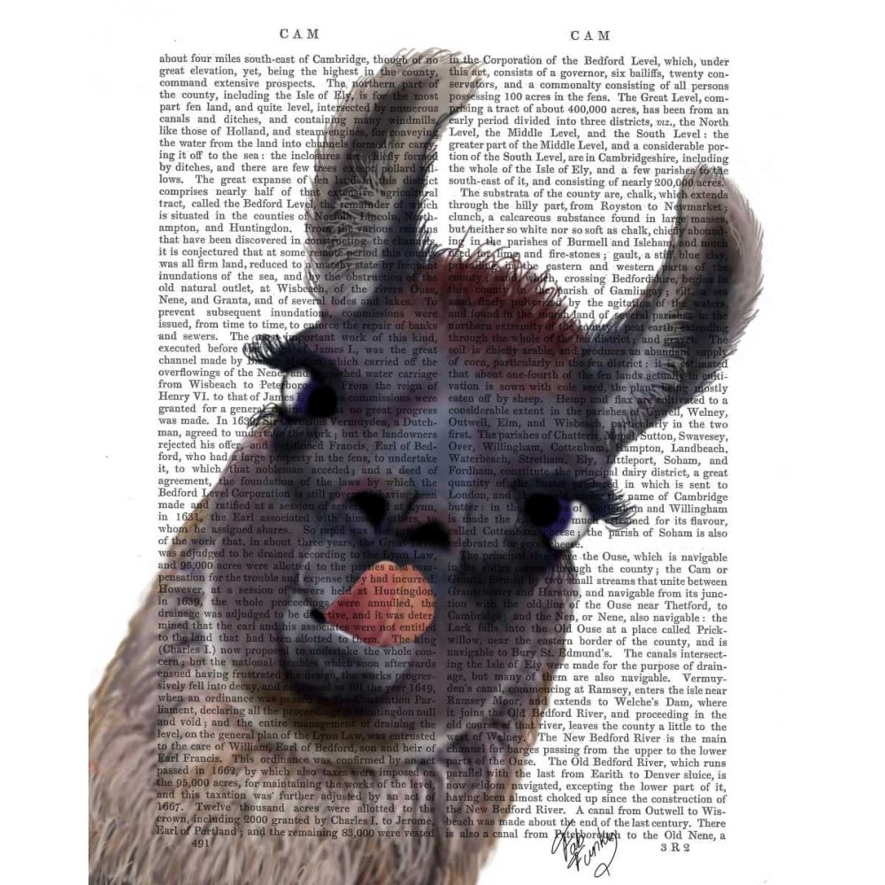 Silly Llama Poster Print - Funky Fab-VARPDX190937D Image 1