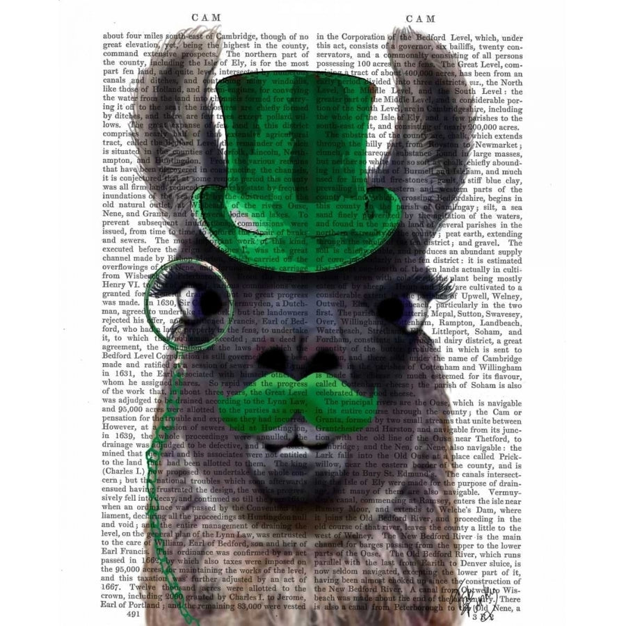 Llama With Green Top Hat and Moustache Poster Print - Funky Fab-VARPDX190935D Image 1