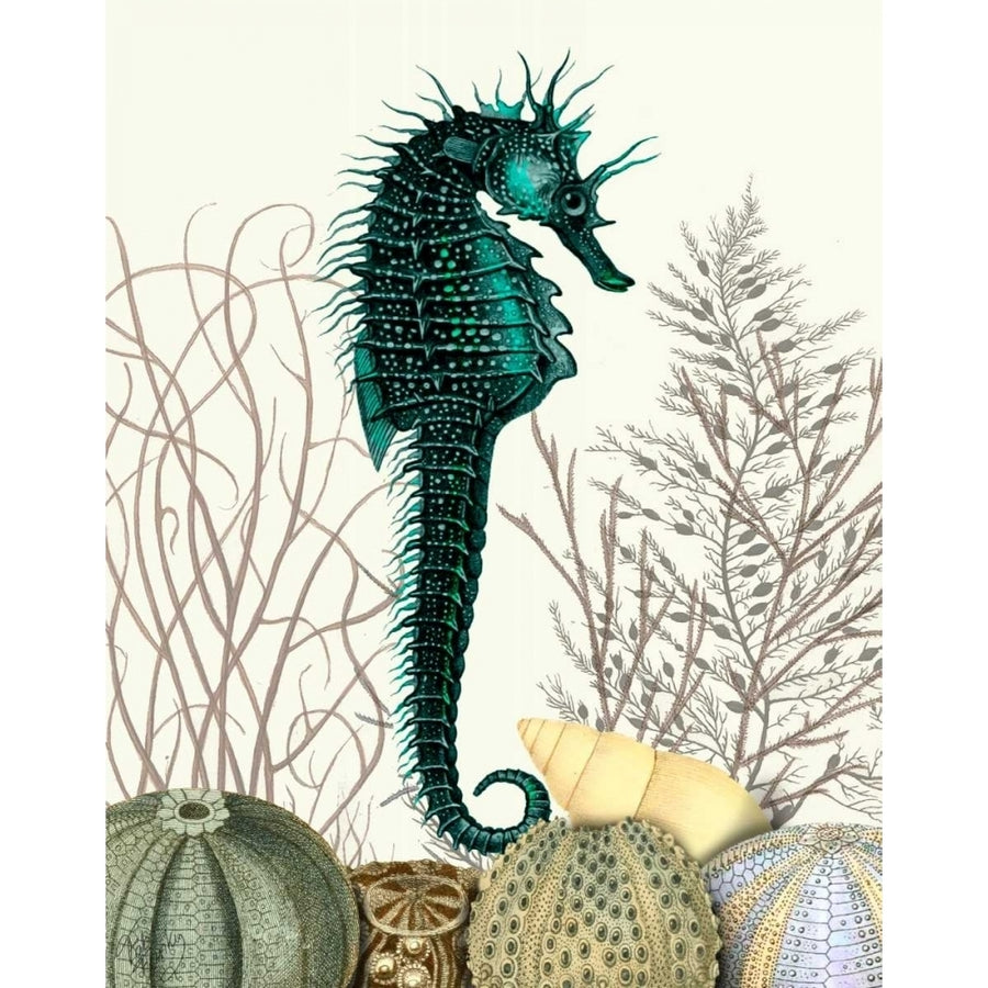 SeaHorse and Sea Urchins Poster Print - Funky Fab-VARPDX190970D Image 1