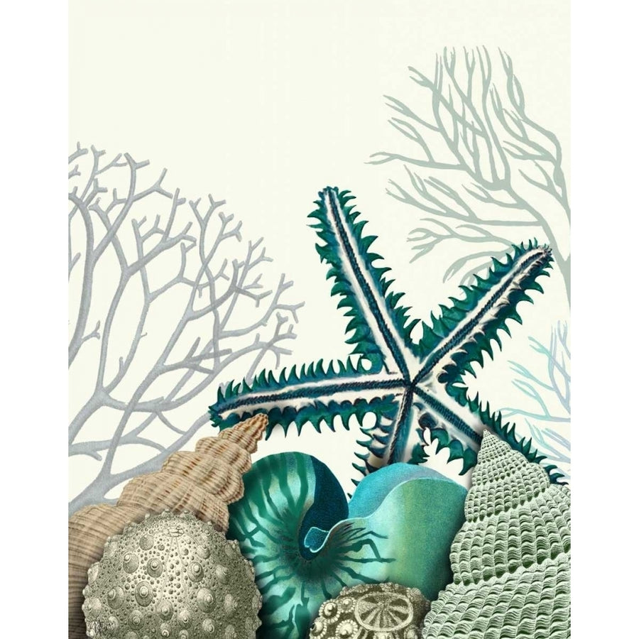 Starfish Under the Sea Poster Print - Funky Fab-VARPDX190972D Image 1