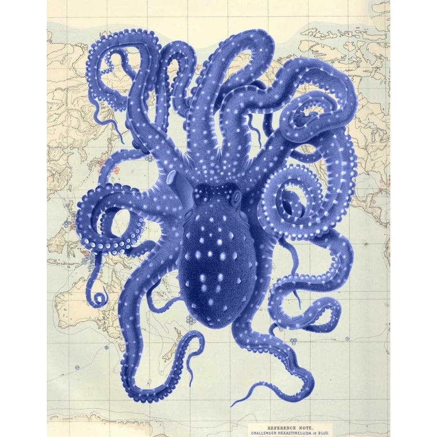 Blue Octopus 2 on Nautical Map Poster Print - Funky Fab-VARPDX190998D Image 1