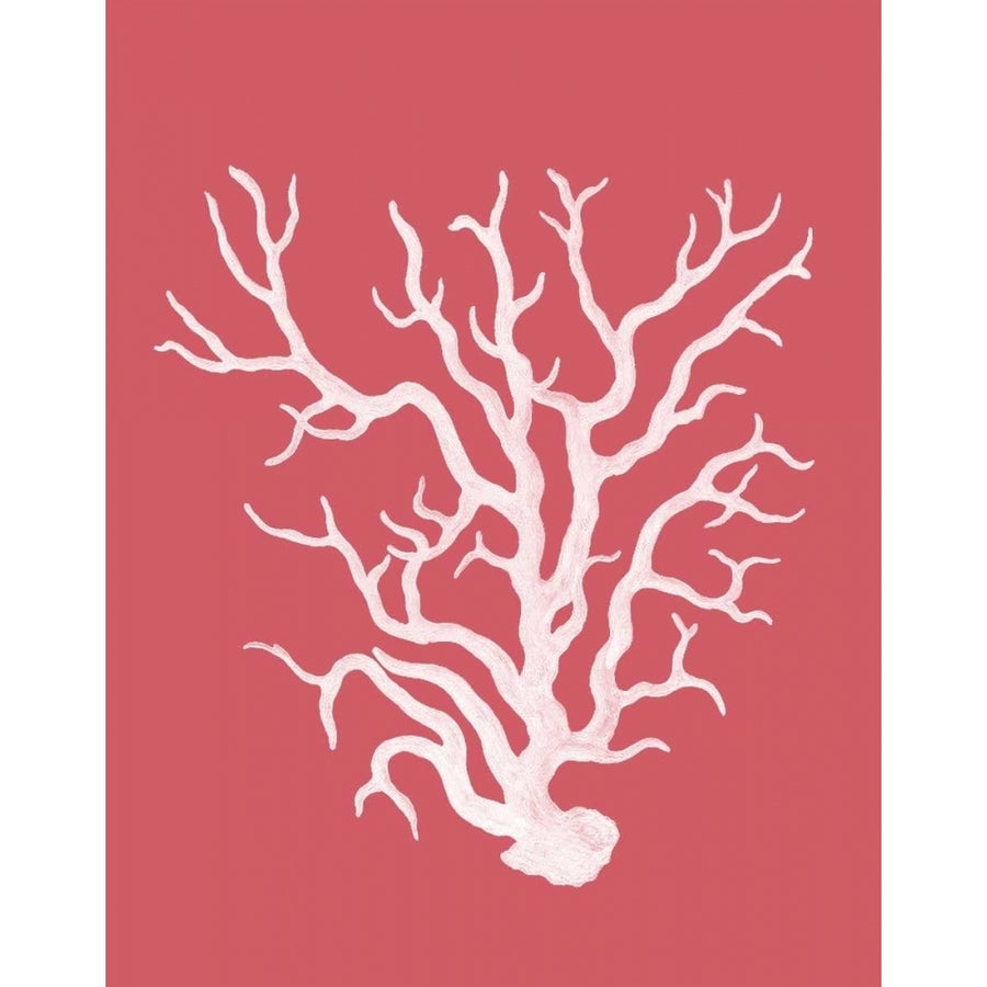 Corals White on Coral a Poster Print - Funky Fab-VARPDX191026D Image 1