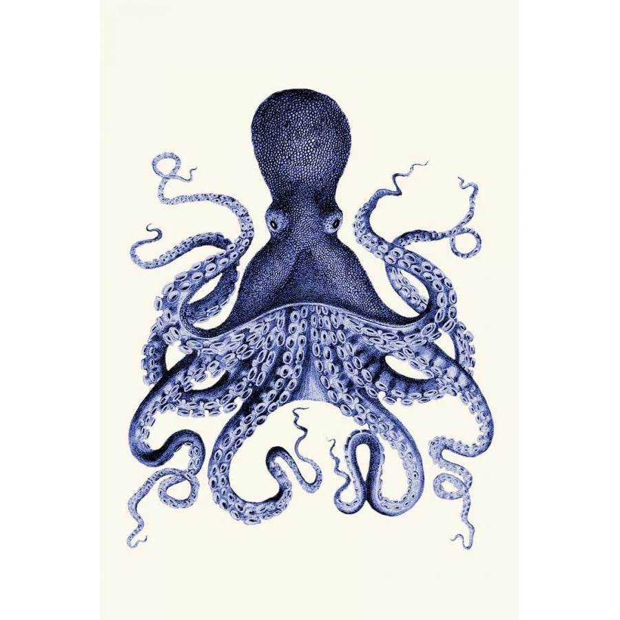 Blue Octopus 3 Poster Print - Funky Fab-VARPDX190995D Image 1