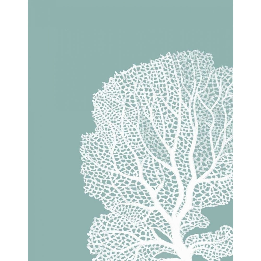 Corals White on Mist Blue Green b Poster Print - Funky Fab-VARPDX191023D Image 1