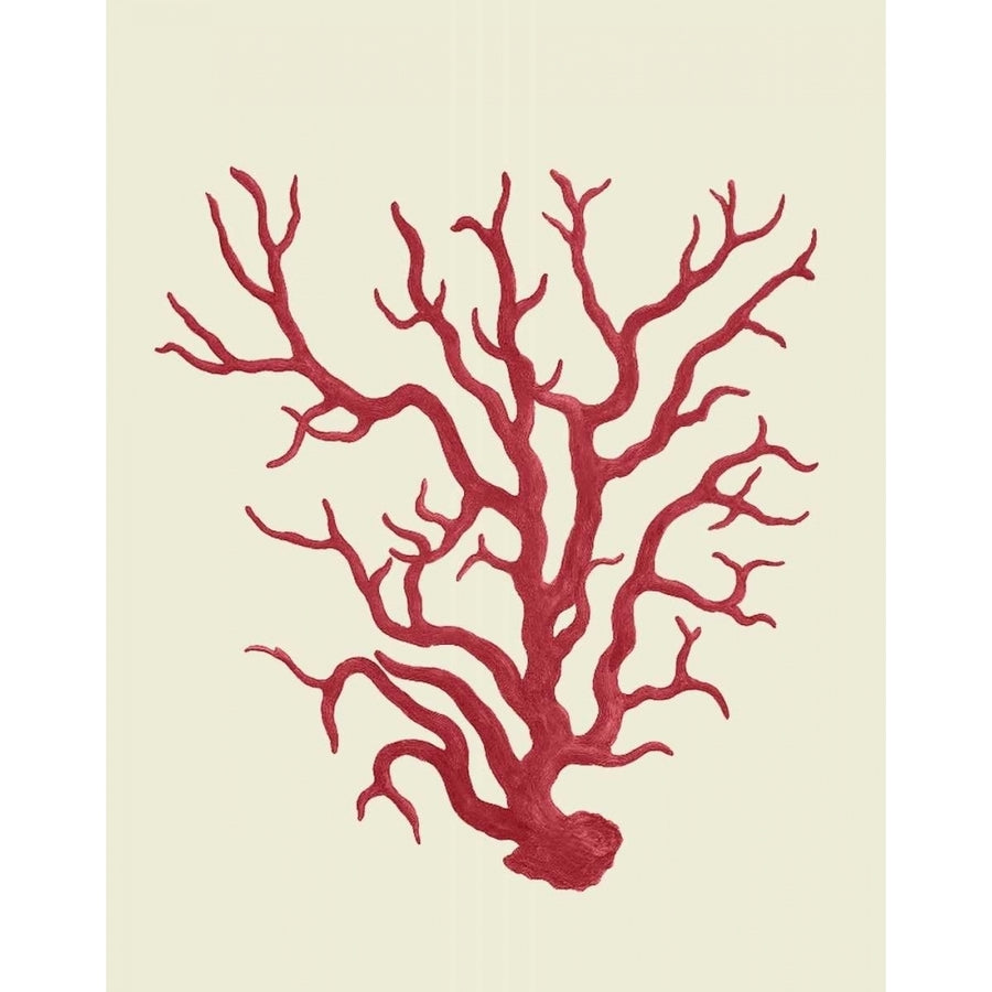 Corals Coral On Cream a Poster Print - Funky Fab-VARPDX191030D Image 1