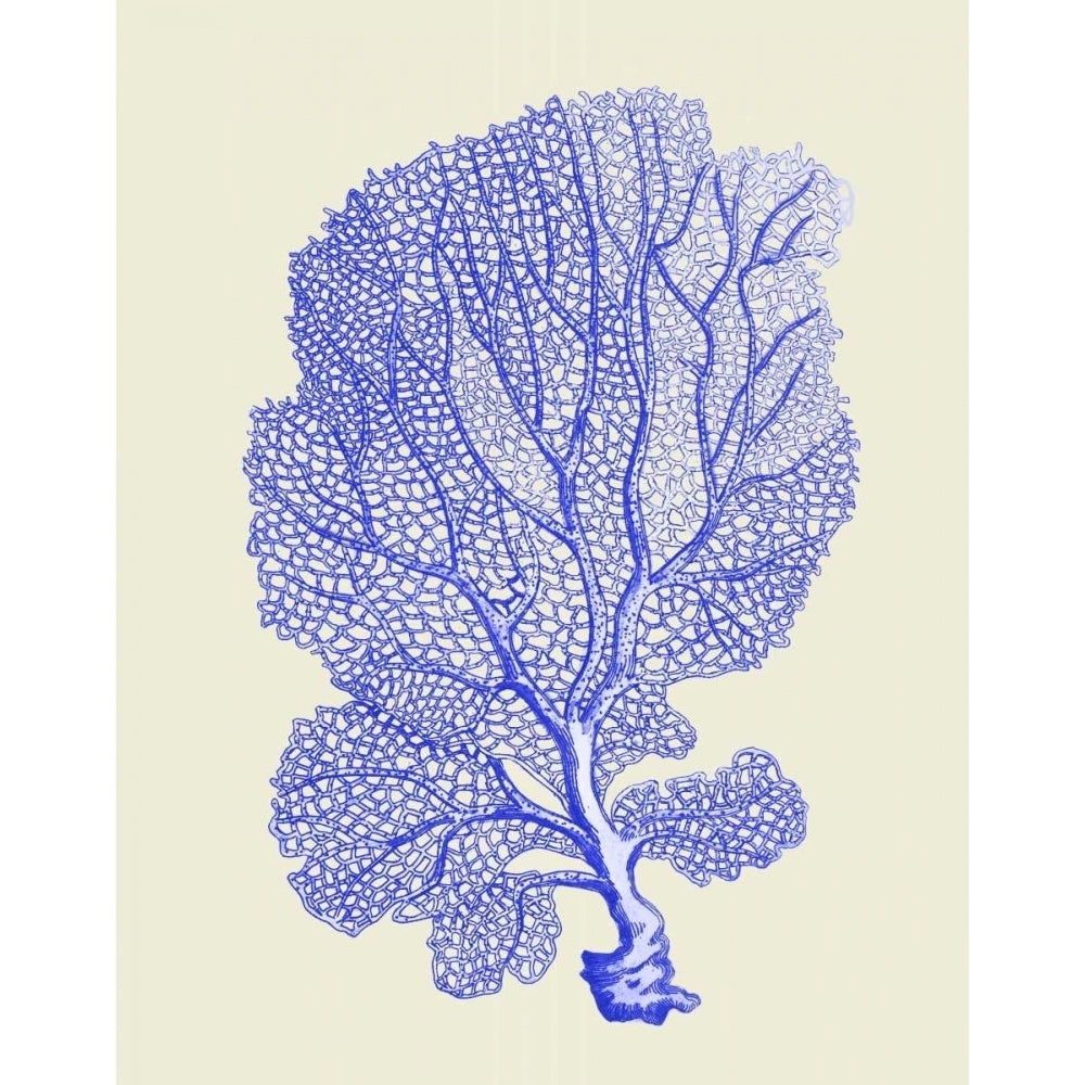 Blue Corals b Poster Print - Funky Fab-VARPDX191035D Image 1