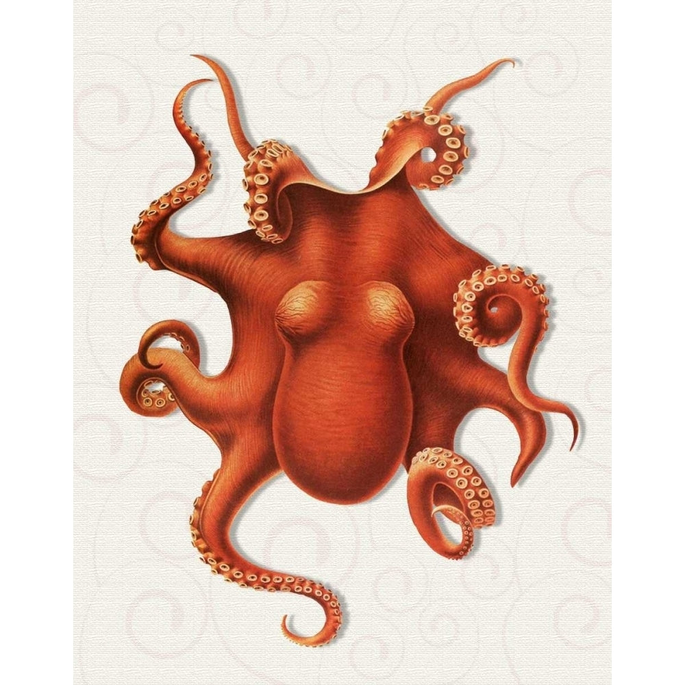 Octopus 4 Orange Poster Print - Funky Fab-VARPDX191065D Image 1