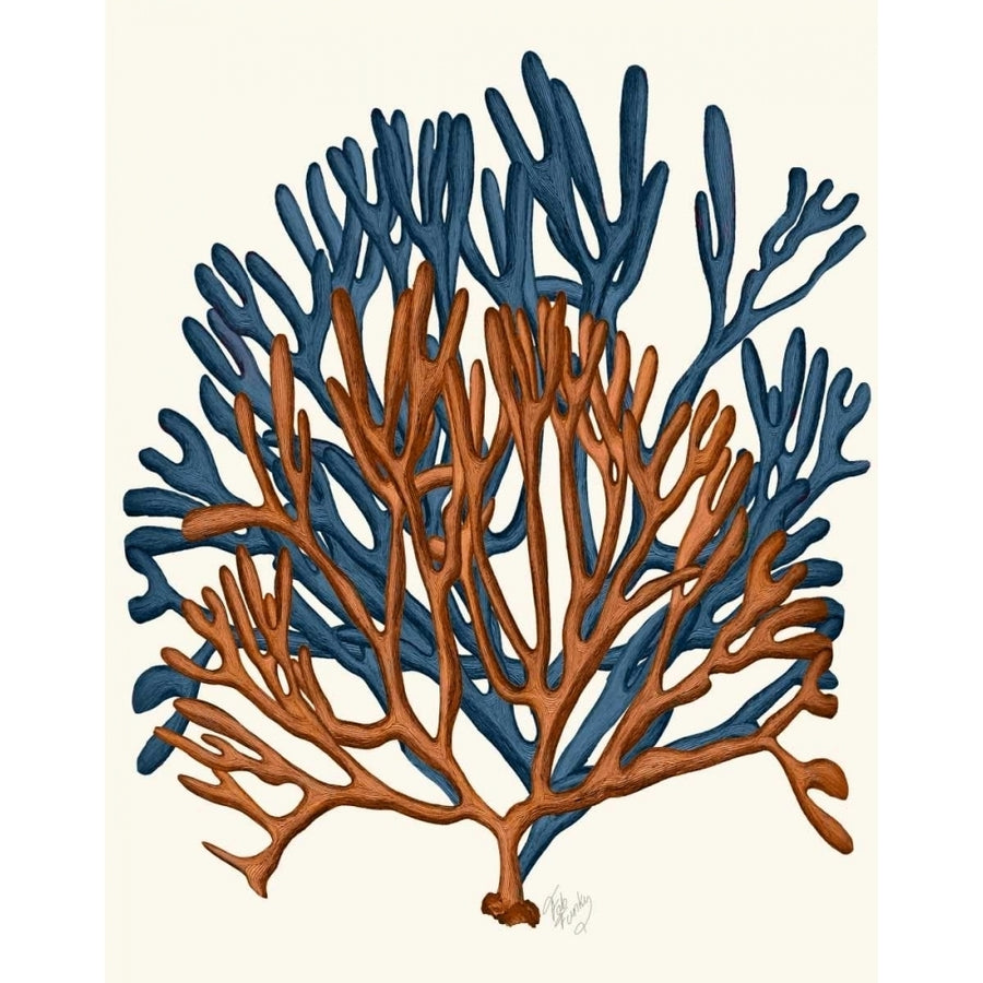 Blue and Orange Corals a Poster Print - Funky Fab-VARPDX191049D Image 1