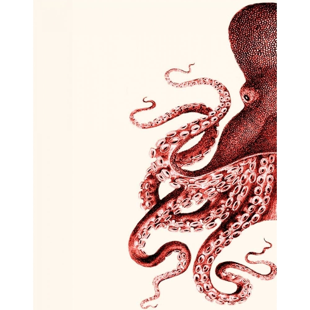 Octopus Coral and Cream a Poster Print - Funky Fab-VARPDX191089D Image 1