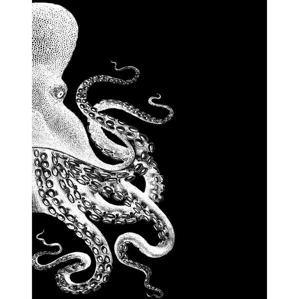 Octopus Black and White b Poster Print - Funky Fab-VARPDX191084D Image 1