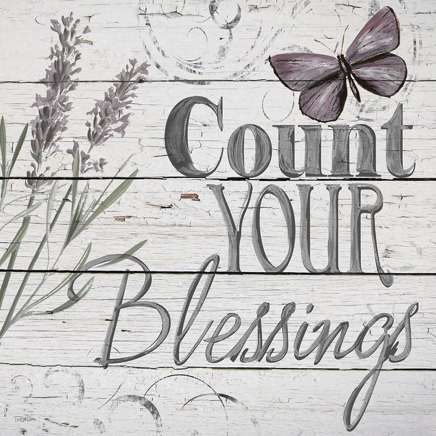 Count Blessings Poster Print by Katrina Craven-VARPDX19109 Image 1