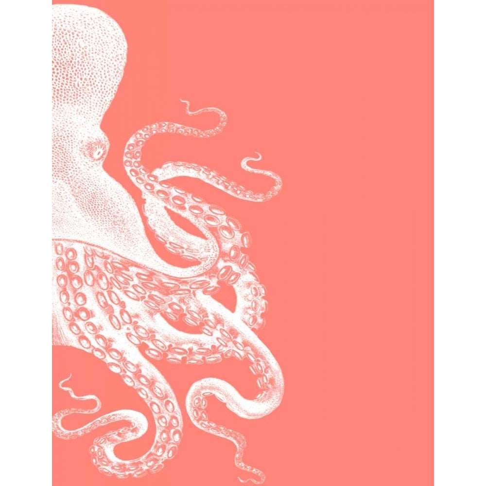 Octopus Coral and Cream b Poster Print - Funky Fab-VARPDX191090D Image 1