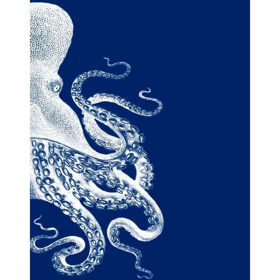 Octopus Navy Blue and Cream b Poster Print - Funky Fab-VARPDX191080D Image 1