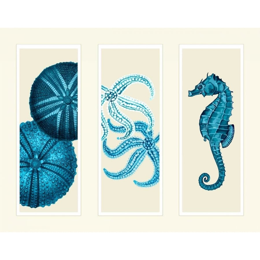 Three Panel Print Sea Urchin Starfish and Seahorse in Blue Poster Print - Funky Fab-VARPDX191137D Image 1