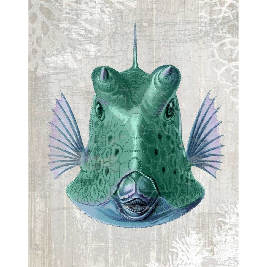 Cowfish Poster Print - Funky Fab-VARPDX191119D Image 1