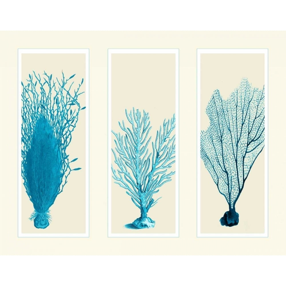 Blue Corals on 3 Panels Poster Print - Funky Fab-VARPDX191139D Image 1