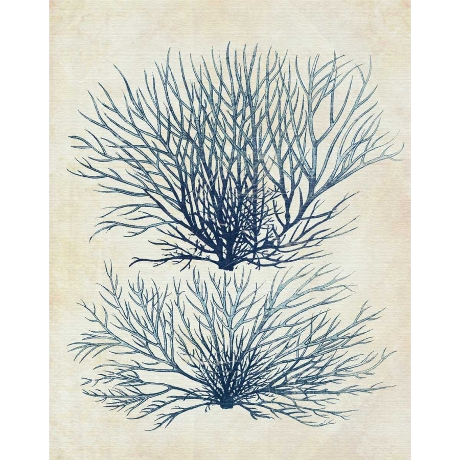 Indigo Blue Seaweed 1 a Poster Print - Funky Fab-VARPDX191159D Image 1