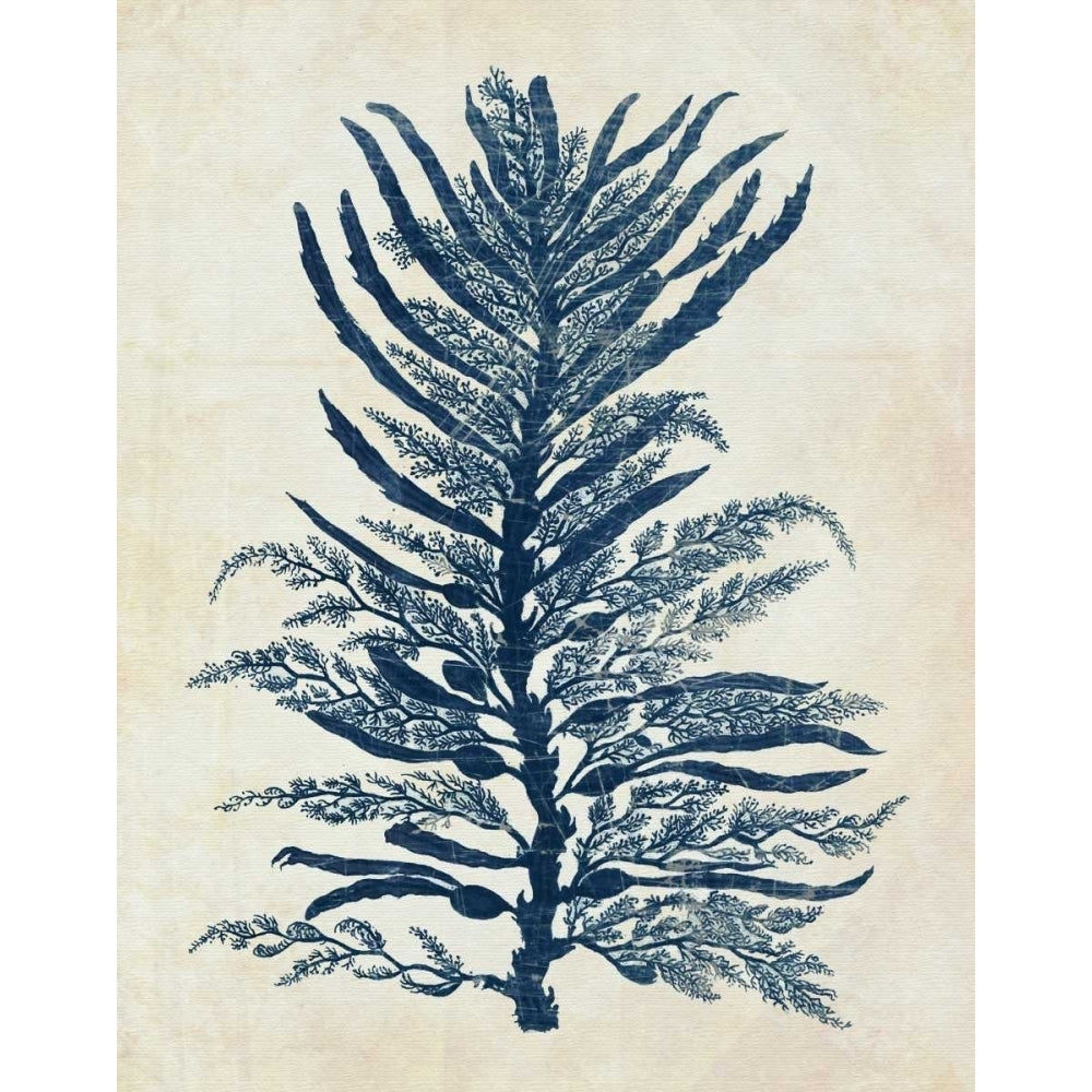 Indigo Blue Seaweed 1 b Poster Print - Funky Fab-VARPDX191160D Image 1