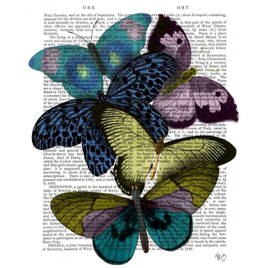 Big Bold Butterflies 2 Poster Print - Funky Fab-VARPDX191358D Image 1