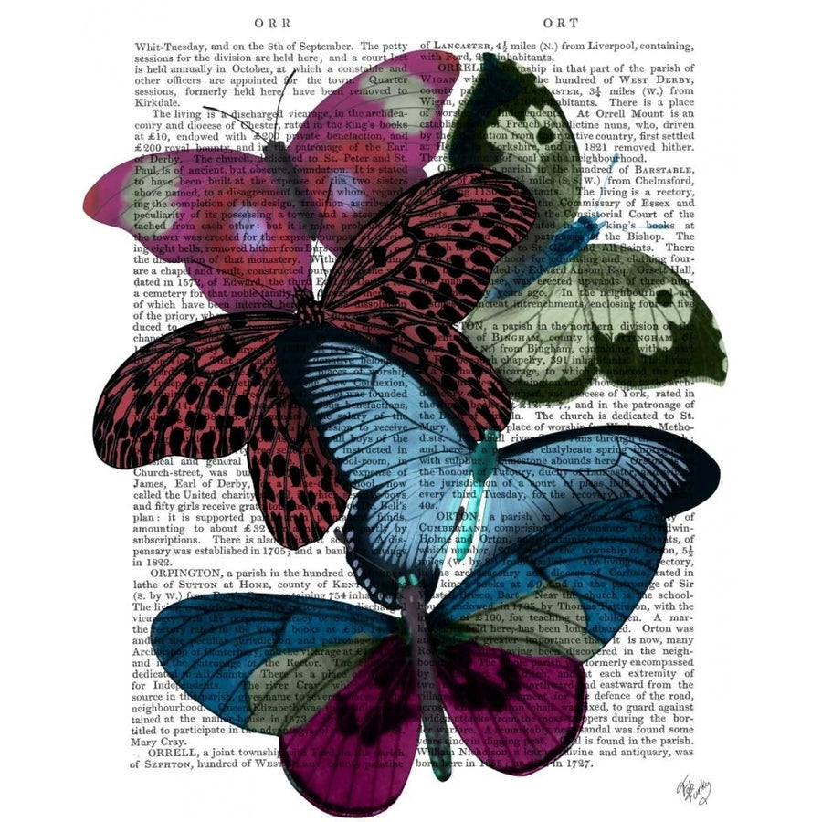 Big Bold Butterflies 1 Poster Print - Funky Fab-VARPDX191357D Image 1