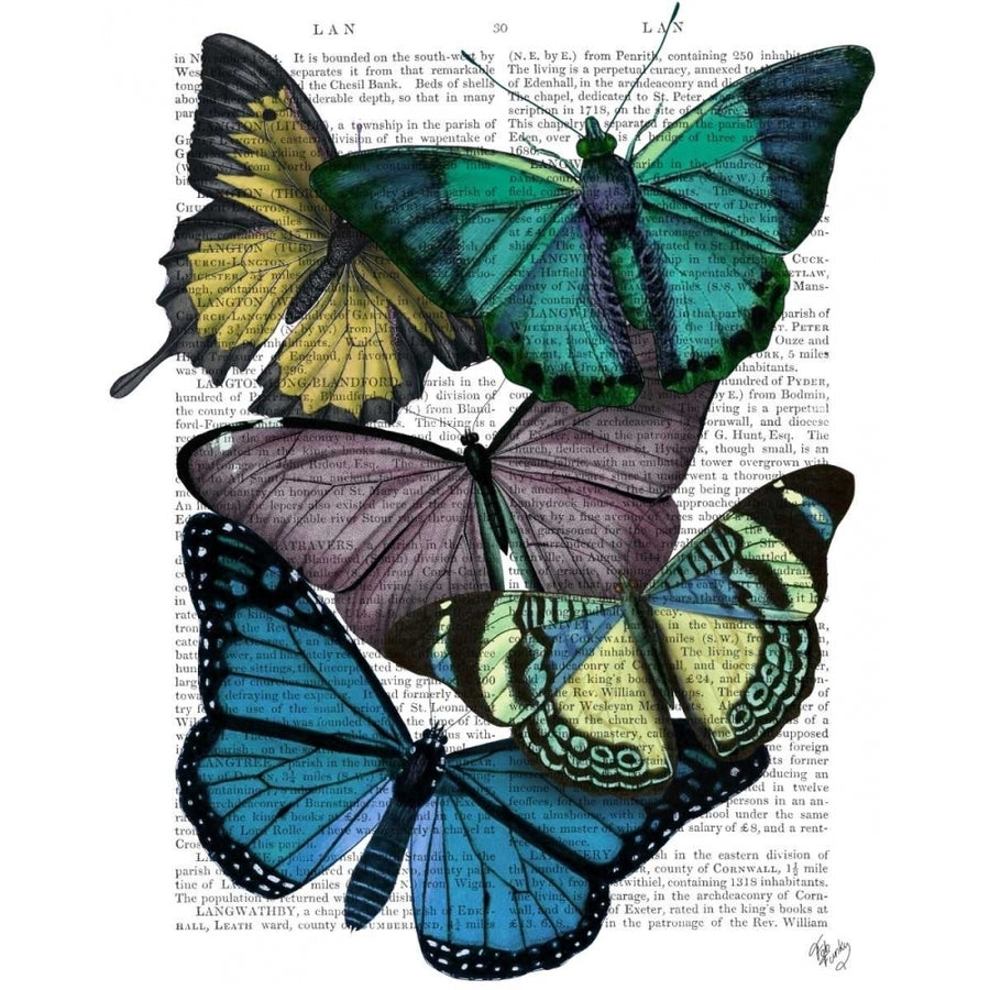 Big Bold Butterflies 4 Poster Print - Funky Fab-VARPDX191360D Image 1