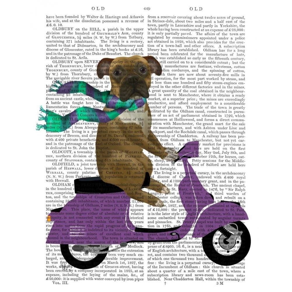 Boxer On Moped Poster Print - Funky Fab-VARPDX191396D Image 1