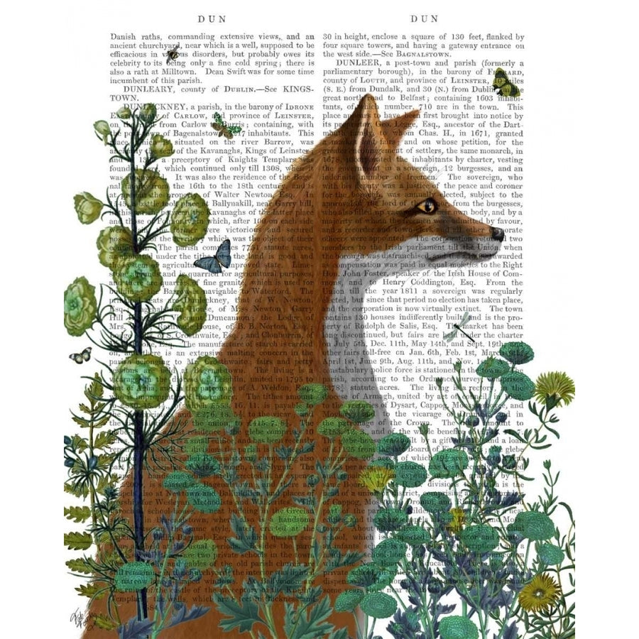 Fox In the Garden Poster Print - Funky Fab-VARPDX191430D Image 1