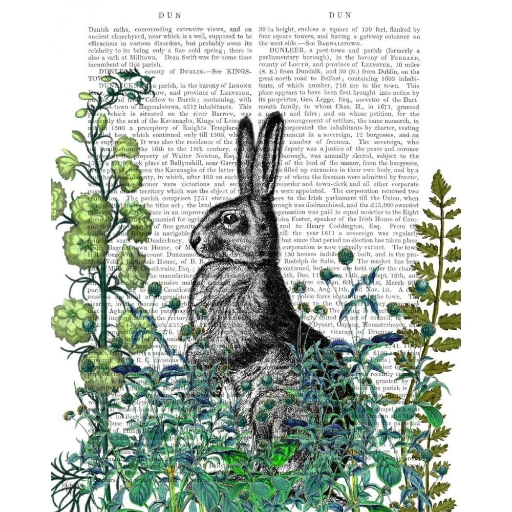 Rabbit in The Garden Poster Print - Funky Fab-VARPDX191421D Image 1