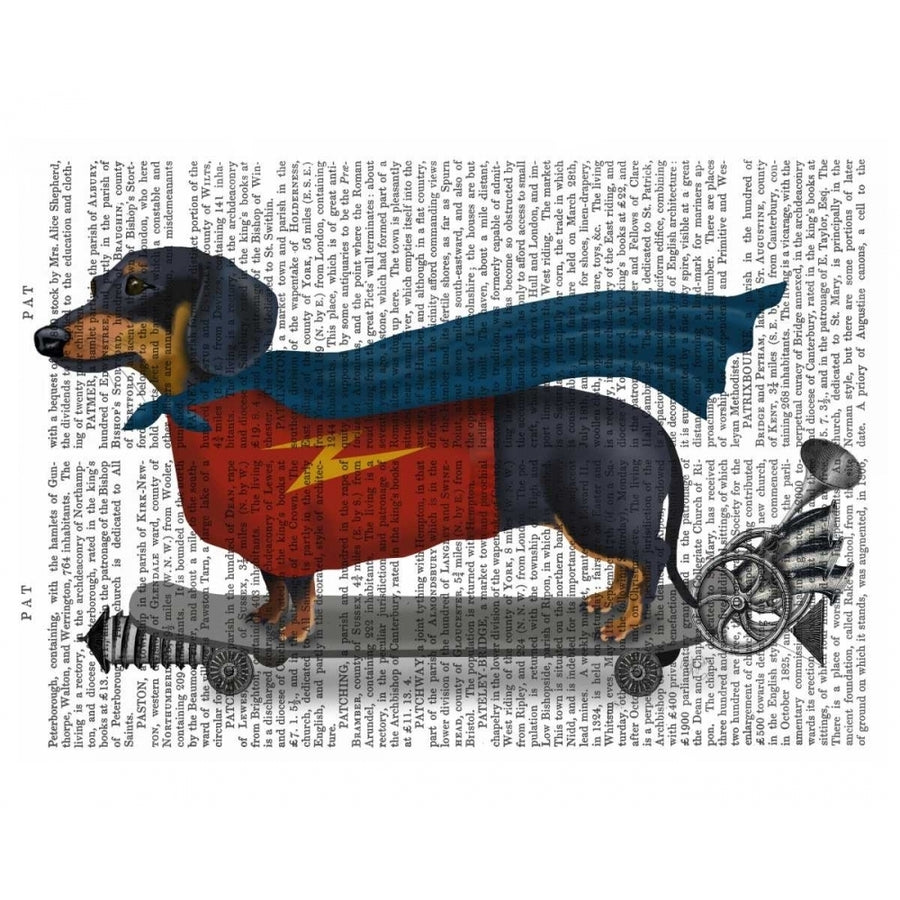 Dachshund On Skateboard Poster Print - Funky Fab-VARPDX191441D Image 1